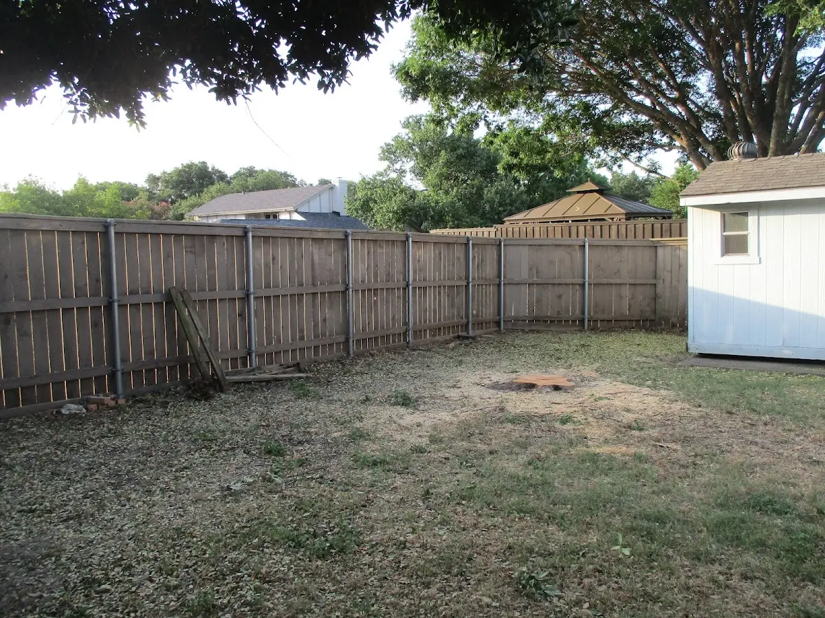 Cleared yard after professional tree removal in Garden Prairie