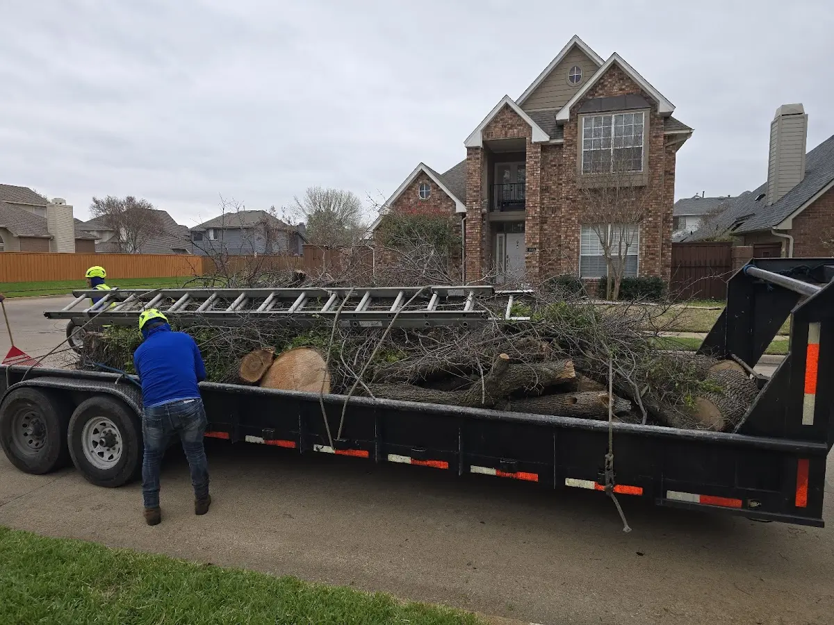 Expert Tree Pest Control with proper safety equipment in Garden Prairie
